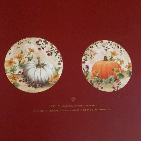 Pottery Barn Botanical Harvest Pumpkin Stoneware Dinner Plates - Set Of 4 - Picture 15 of 16